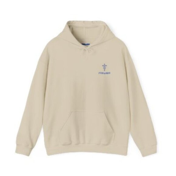 BUY ON ETSY Forward Christian Clothing | GOD HEALS Unisex Hoodie - Picture 1 of 6